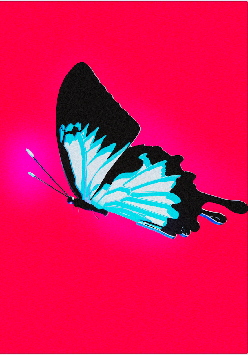 Neon Butterfly - Red