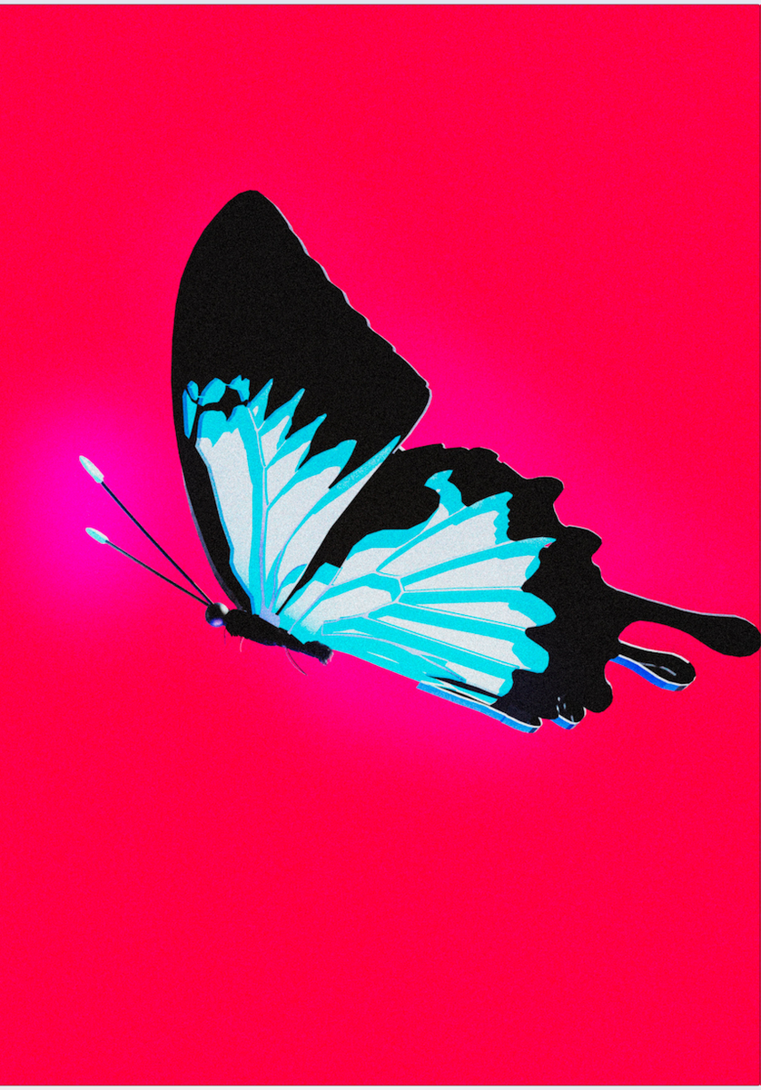 Neon Butterfly - Red – Inspire Me With ...